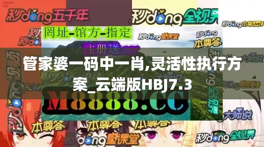 管家婆一码中一肖,灵活性执行方案_云端版HBJ7.3