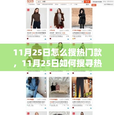 11月25日热门款式深度探寻,搜索技巧与观点碰撞