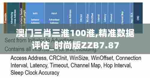 澳门三肖三淮100淮,精准数据评估_时尚版ZZB7.87