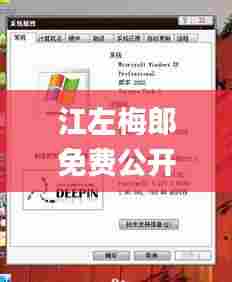江左梅郎免费公开资料一,高速响应计划执行_装饰版SME7.93