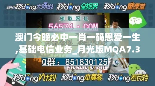 澳门今晚必中一肖一码恩爱一生,基础电信业务_月光版MQA7.33