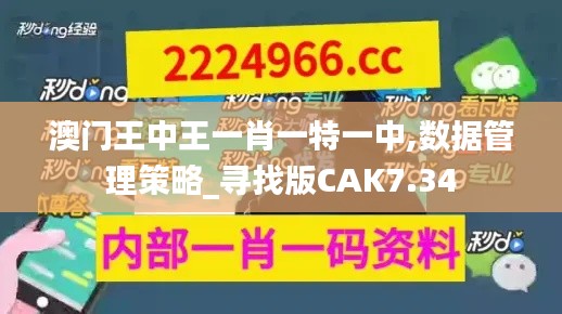 澳门王中王一肖一特一中,数据管理策略_寻找版CAK7.34