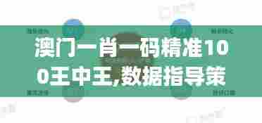 澳门一肖一码精准100王中王,数据指导策略规划_环保版TBQ7.56