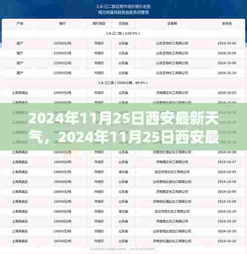 2024年11月25日西安最新天气深度解析