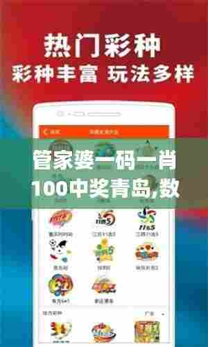 管家婆一码一肖100中奖青岛,数据详解说明_互联版YZN7.24