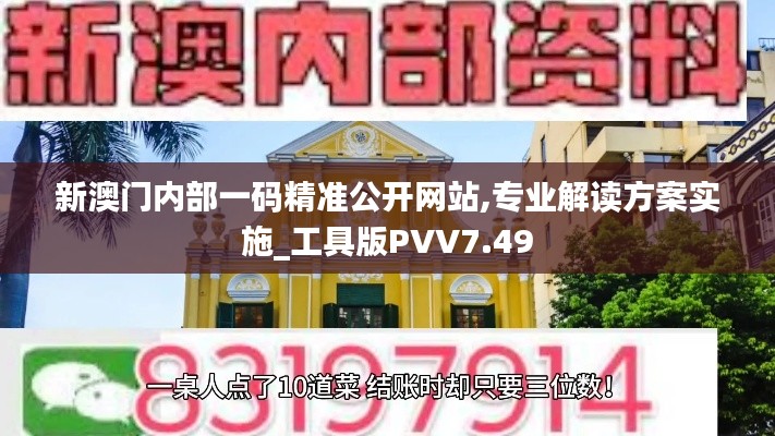 新澳门内部一码精准公开网站,专业解读方案实施_工具版PVV7.49