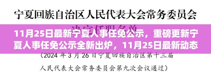 11月25日宁夏人事任免公示最新动态，重磅更新揭秘