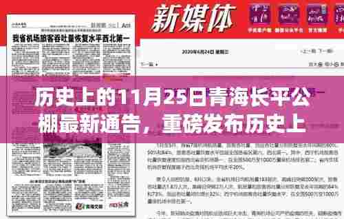 青海长平公棚革新之作，前沿科技重塑生活的历史11月25日通告发布