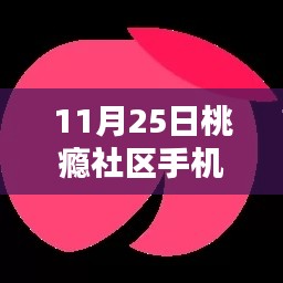 桃瘾社区手机最新更新,深度探讨其影响及观点分析