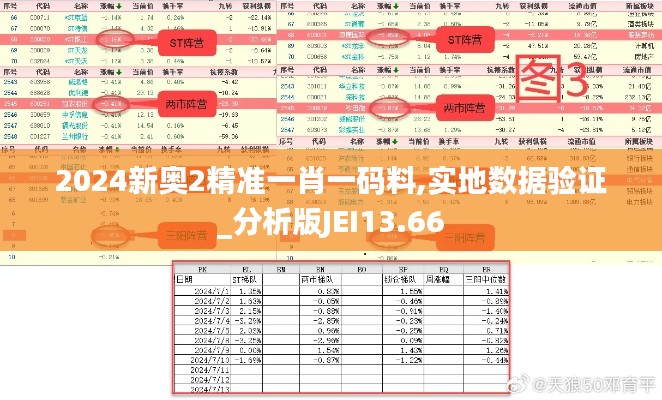 2024新奥2精准一肖一码料,实地数据验证_分析版JEI13.66