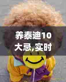 养泰迪10大忌,实时异文说明法_原型版PES13.58