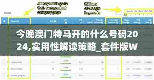 今晚澳门特马开的什么号码2024,实用性解读策略_套件版WWD13.62