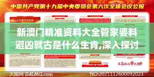 新澳门精准资料大全管家婆料避凶就古是什么生肯,深入探讨方案策略_优雅版EMV13.16