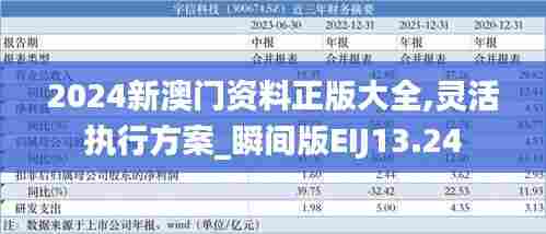 2024新澳门资料正版大全,灵活执行方案_瞬间版EIJ13.24