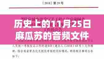 历史上的11月25日，麻瓜苏音频文件热门背后的故事深度解析