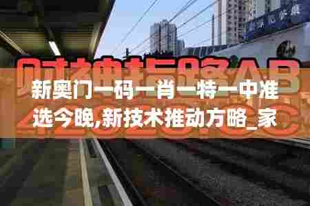 新奥门一码一肖一特一中准选今晚,新技术推动方略_家庭版BYT13.68