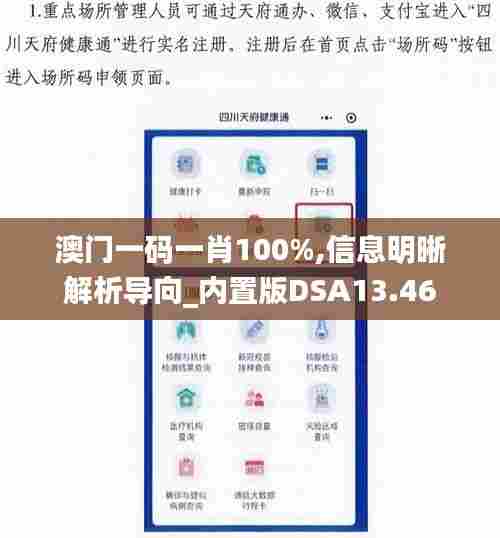 澳门一码一肖100%,信息明晰解析导向_内置版DSA13.46