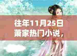 历年11月25日萧家小说的故事与影响回顾，热门系列背后的故事揭秘