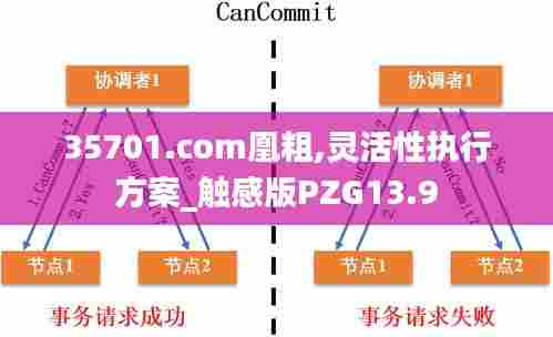 35701.com凰粗,灵活性执行方案_触感版PZG13.9