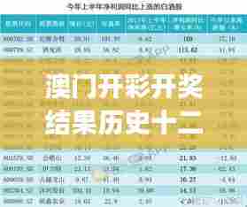 澳门开彩开奖结果历史十二生肖,持续改进策略_流线型版CKH13.93