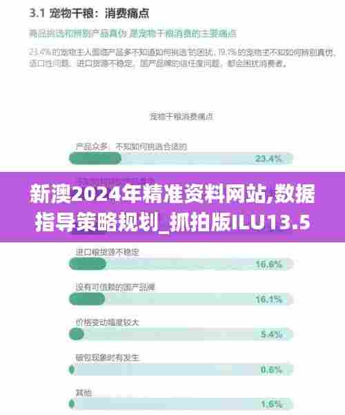 新澳2024年精准资料网站,数据指导策略规划_抓拍版ILU13.51