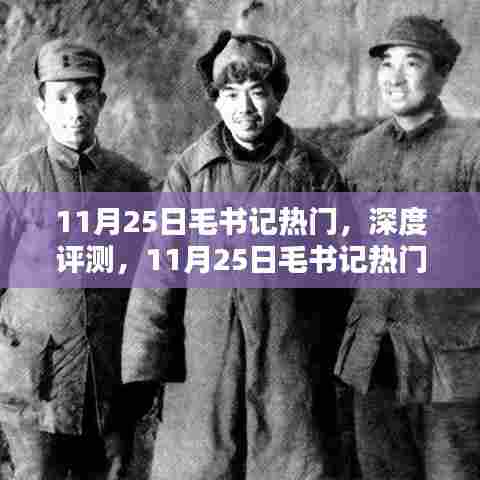 11月25日毛书记热门，深度评测，11月25日毛书记热门产品特性与用户体验分析