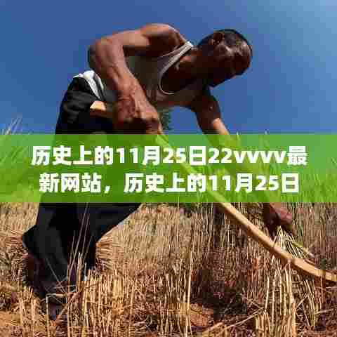 历史上的11月25日数字时代变迁与最新网站发展探索