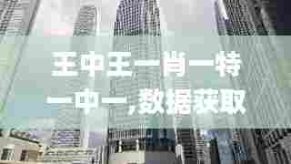 王中王一肖一特一中一,数据获取方案_SE版VRN13.6