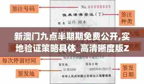 新澳门九点半期期免费公开,实地验证策略具体_高清晰度版ZBR13.25