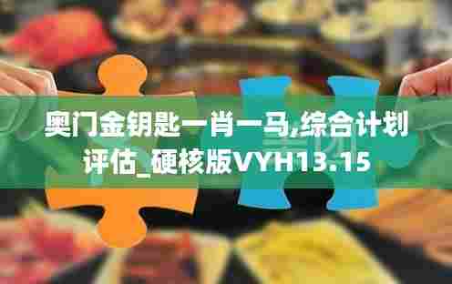 奥门金钥匙一肖一马,综合计划评估_硬核版VYH13.15