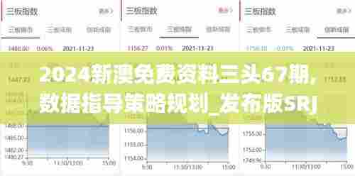 2024新澳免费资料三头67期,数据指导策略规划_发布版SRJ13.51