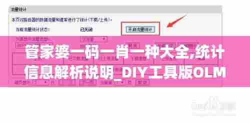 管家婆一码一肖一种大全,统计信息解析说明_DIY工具版OLM13.62