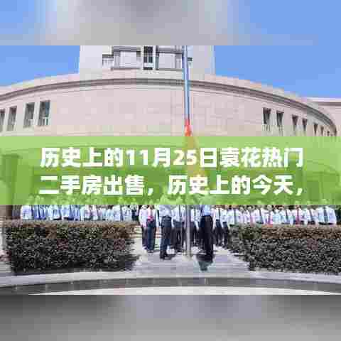 芒屩布衣 第5页