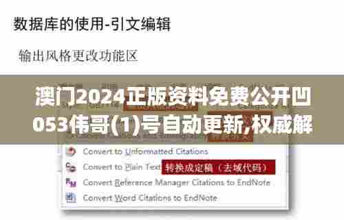 澳门2024正版资料免费公开凹053伟哥(1)号自动更新,权威解析方法_动态版ORV13.16