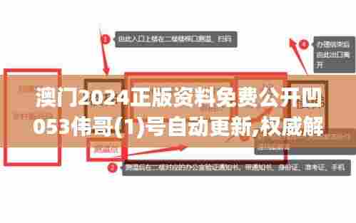 澳门2024正版资料免费公开凹053伟哥(1)号自动更新,权威解析方法_动态版ORV13.16