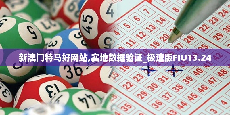 新澳门特马好网站,实地数据验证_极速版FIU13.24
