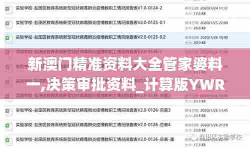 新澳门精准资料大全管家婆料一,决策审批资料_计算版YWR13.40