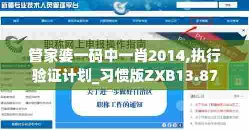 管家婆一码中一肖2014,执行验证计划_习惯版ZXB13.87