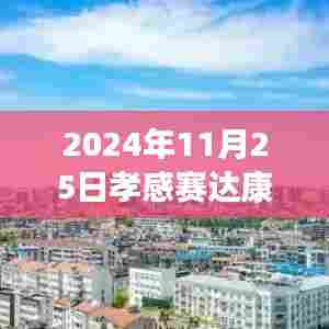 孝感赛达康城最新房价测评报告，深度剖析与用户体验反馈（2024年11月25日）