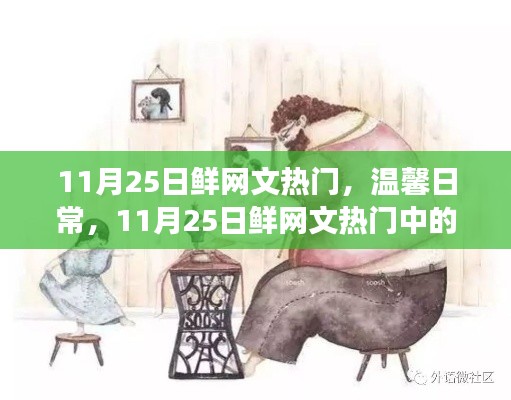 11月25日鲜网文热门，暖心温馨的日常故事