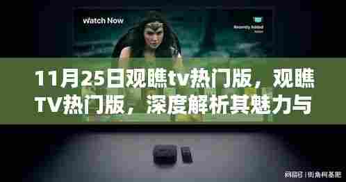 观瞧TV热门版深度解析，魅力与挑战的探讨