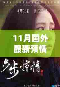 掌握关键信息，揭秘国外最新动态解析指南，十一月预情速递