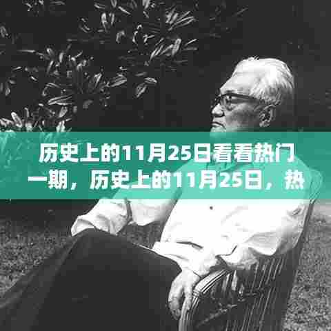 历史上的11月25日深度剖析，热门事件与个人观点