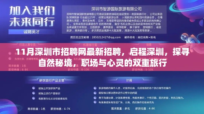 启程深圳,最新招聘信息与自然秘境探索的双重职场心灵之旅