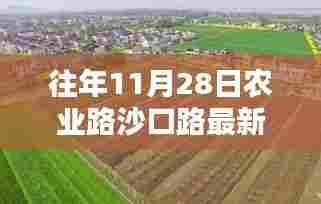 铺张浪费 第5页