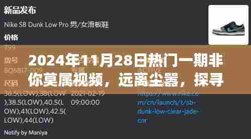 远离尘嚣的治愈之旅，探寻自然美景的非你莫属视频