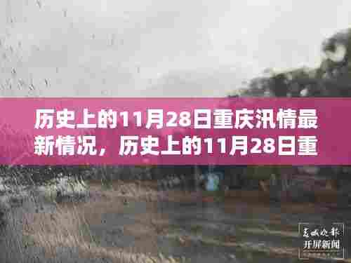 历史上的11月28日重庆汛情深度分析与最新情况阐述