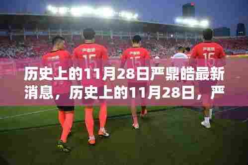 严鼎皓，历史11月28日的新征程探寻自然美景与内心平静之路