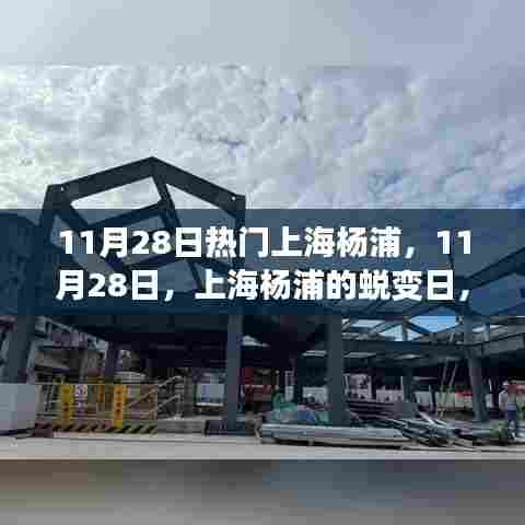 上海杨浦蜕变日，学习成就无限可能，自信闪耀人生