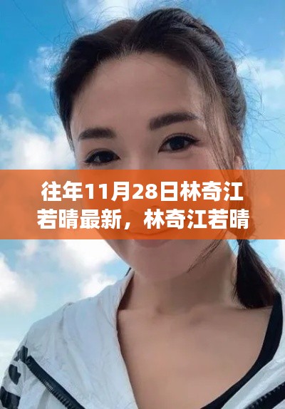 布被瓦器 第4页
